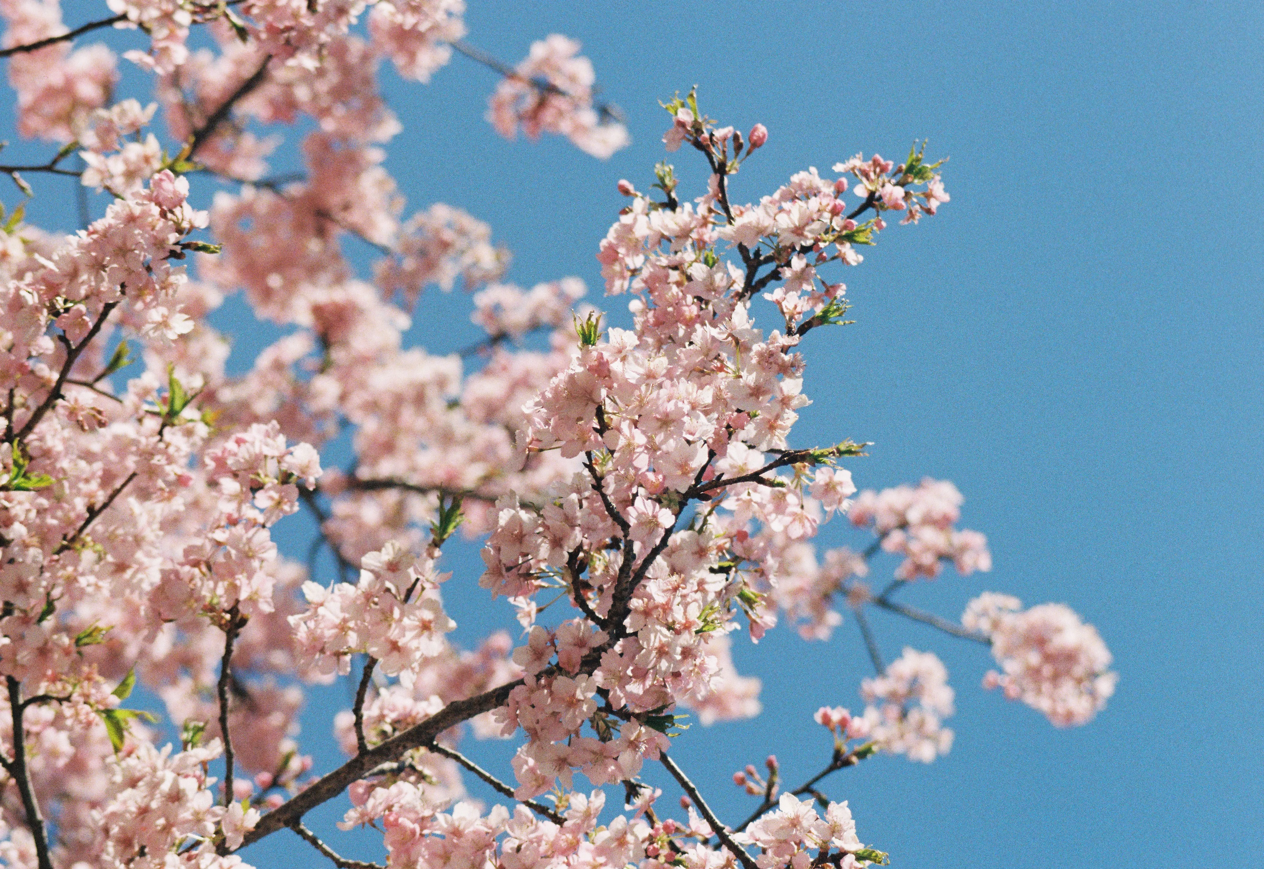 USugarのイメージ画像